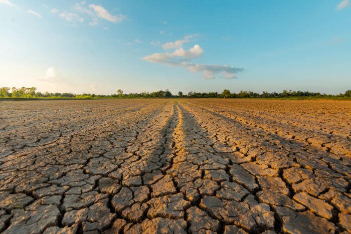 A Big El Niño Event is Likely in 2026. But What’s the Context Behind the Headlines, and What are the Global Implications?